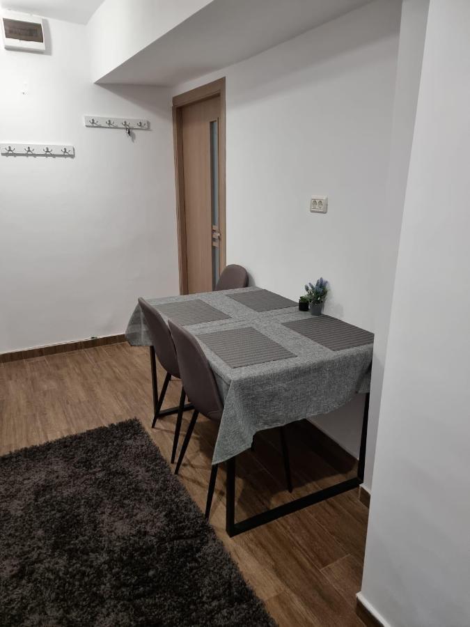 Dacia Apartment Тимишоара Экстерьер фото